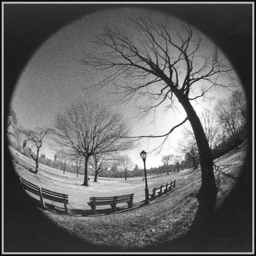 Central Park - Black & White