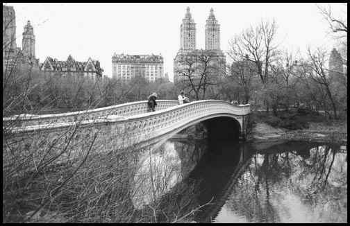 bow bridge in central park nyc. Bow Bridge is different in